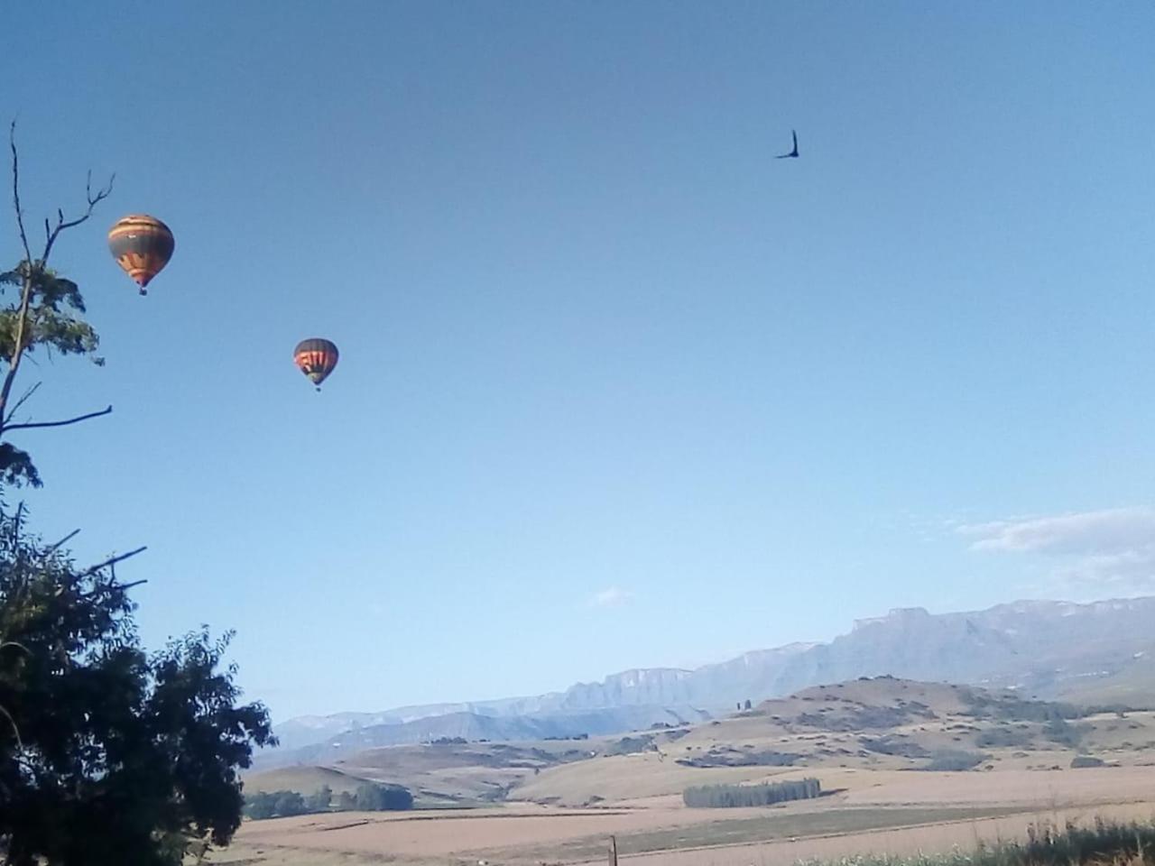 Inkungu Lodge Champagne Valley Exteriör bild